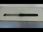 Tailgate/trunk strut/damper