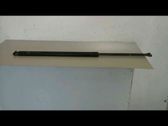Tailgate/trunk strut/damper