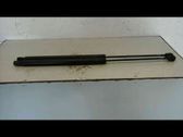 Tailgate/trunk strut/damper