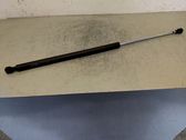 Tailgate/trunk strut/damper