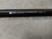 Tailgate/trunk strut/damper