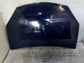 Motorhaube