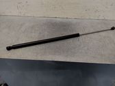 Tailgate/trunk strut/damper