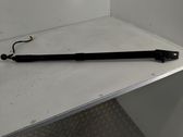 Tailgate/trunk strut/damper