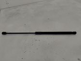 Tailgate/trunk strut/damper