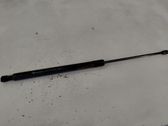 Tailgate/trunk strut/damper