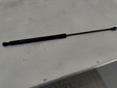 Tailgate/trunk strut/damper