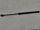 Tailgate/trunk strut/damper