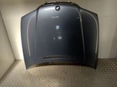 Engine bonnet/hood