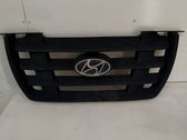Front bumper upper radiator grill