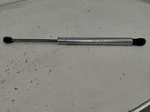 Tailgate/trunk strut/damper