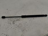 Tailgate/trunk strut/damper
