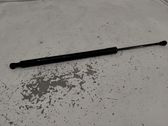 Tailgate/trunk strut/damper