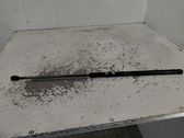 Tailgate/trunk strut/damper