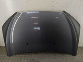 Engine bonnet/hood