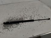 Tailgate/trunk strut/damper