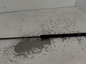 Tailgate/trunk strut/damper