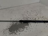 Tailgate/trunk strut/damper