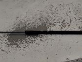 Tailgate/trunk strut/damper