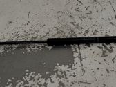 Tailgate/trunk strut/damper