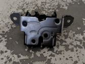 Tailgate/trunk/boot lock/catch/latch