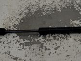 Front bonnet/hood damper/strut