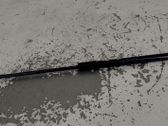 Tailgate/trunk strut/damper