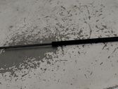 Tailgate/trunk strut/damper