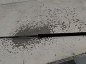 Tailgate/trunk strut/damper