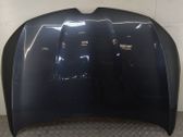 Engine bonnet/hood