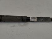 Rear shock absorber/damper