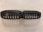 Front bumper upper radiator grill