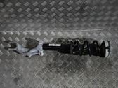 Front shock absorber/damper