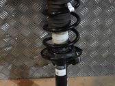 Front shock absorber/damper