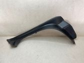Rear/tail light trim molding