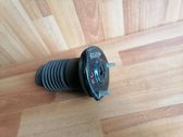 Coil spring mount