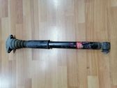 Rear shock absorber/damper