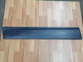 Front door trim (molding)