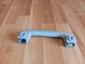 Front interior roof grab handle