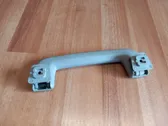 Front interior roof grab handle