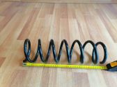 Rear coil spring