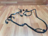 Other wiring loom