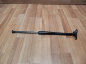 Tailgate/trunk strut/damper