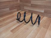 Front coil spring