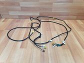 Sound system wiring loom