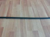 Windshield trim