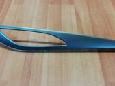 Other front door trim element