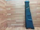 (B) pillar trim (bottom)