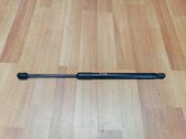 Front bonnet/hood damper/strut