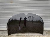 Engine bonnet/hood
